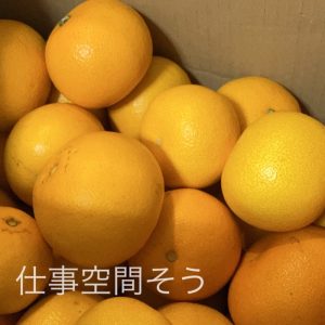 はっさくの写真